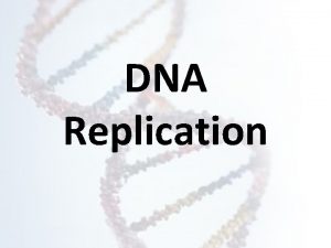 DNA Replication Why Does DNA Need to Replicate