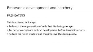 Embryonic development and hatchery PREHEATING This is achieved