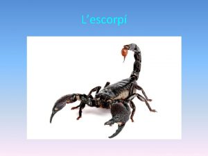 Lescorp Descripci de lescorp Segons lespcie poden variar