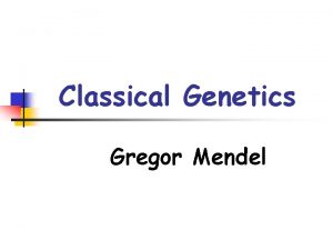Classical Genetics Gregor Mendel The Work of Gregor