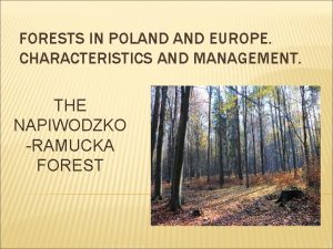 FORESTS IN POLAND EUROPE CHARACTERISTICS AND MANAGEMENT THE