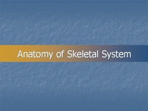Anatomy of Skeletal System SKELETAL SYSTEM n COMPOSED