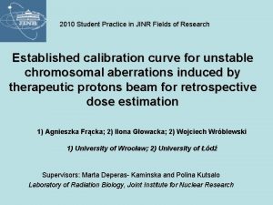 2010 Student Practice in JINR Fields of Research