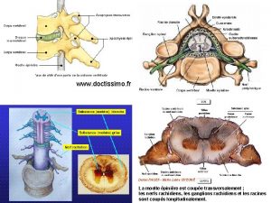 www doctissimo fr Daniel FAGES Marie Laure GUEUN