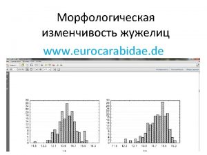 www eurocarabidae de Cicindela Eumecus germanica Linnaeus 1758