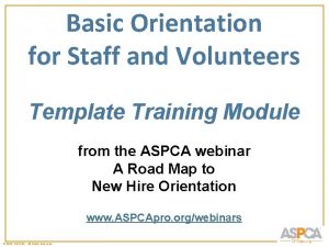 Basic Orientation for Staff and Volunteers Template Training