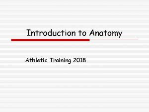 Introduction to Anatomy Athletic Training 2018 Anatomical Position