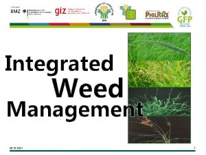 Integrated Weed Management 28 10 2021 1 Learning