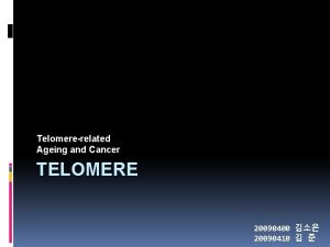 Telomererelated Ageing and Cancer TELOMERE 20090400 20090410 Contents