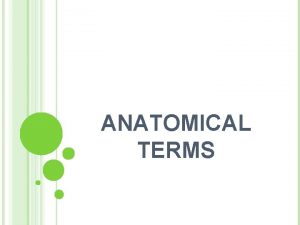 ANATOMICAL TERMS ANATOMICAL TERMINOLOGY Anatomical nomenclature Nomina anatomica