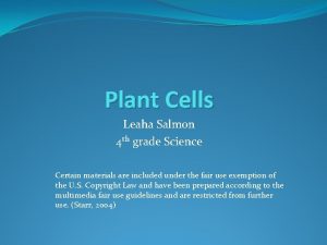 Plant Cells Leaha Salmon 4 th grade Science