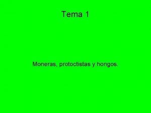 Tema 1 Moneras protoctistas y hongos Estndares de