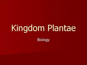 Kingdom Plantae Biology Kingdom Plantae n Multicellular n