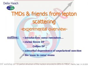 Delia Hasch TMDs friends from lepton scattering experimental