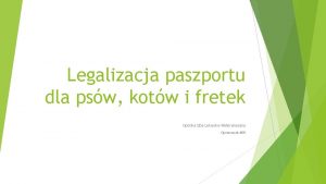 Legalizacja paszportu dla psw kotw i fretek Opolska