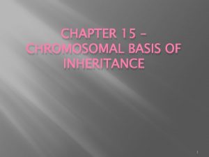 CHAPTER 15 CHROMOSOMAL BASIS OF INHERITANCE 1 Chromosomal
