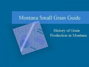 Montana Small Grain Guide History of Grain Production