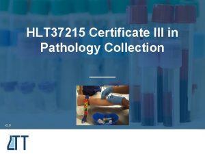 HLT 37215 Certificate III in Pathology Collection v