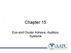 Chapter 15 Eye and Ocular Adnexa Auditory Systems