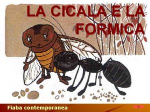 LA CICALA E LA FORMICA Fiaba contemporanea Esopo