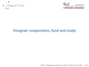 Visegrad cooperation fund and study 13 th Visegrad