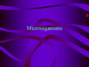 Microorganisms Microbes too small to be seen with