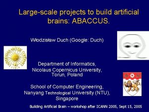 Largescale projects to build artificial brains ABACCUS Wodzisaw