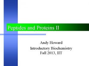 Peptides and Proteins II Andy Howard Introductory Biochemistry