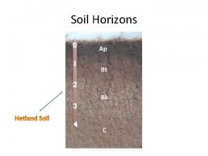 Soil Horizons Ap Bt Bk C Soil Horizons