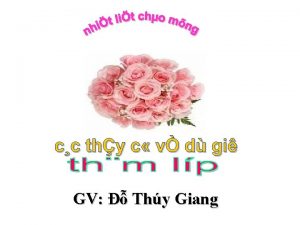 GV Thy Giang Phng Gio Dc qun Long