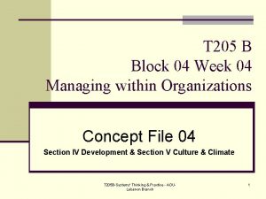 T 205 B Block 04 Week 04 Managing
