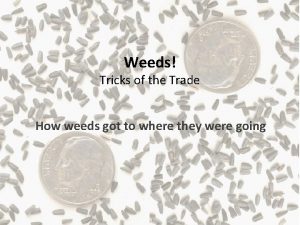 Weeds Tricks of the Trade How weeds got