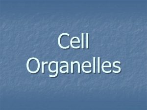 Cell Organelles vocabulary word n organelle structures within