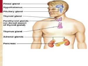 Figure 16 1 Copyright 2006 by Elsevier Inc