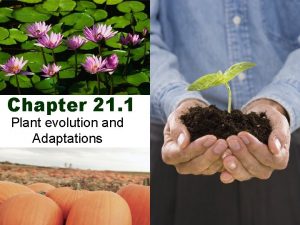 Chapter 21 1 Plant evolution and Adaptations Plant