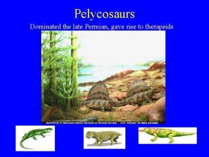 Pelycosaurs Dominated the late Permian gave rise to