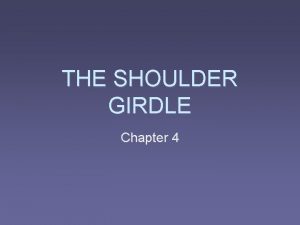 THE SHOULDER GIRDLE Chapter 4 THE BONES Clavicle