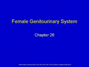 Female Genitourinary System Chapter 26 Elsevier items and