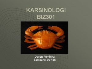 KARSINOLOGI BIZ 301 Dosen Pembina Bambang Irawan RUANG