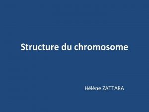 Structure du chromosome Hlne ZATTARA Structure du chromosome