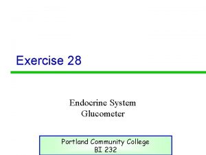 Exercise 28 Endocrine System Glucometer Portland Community College