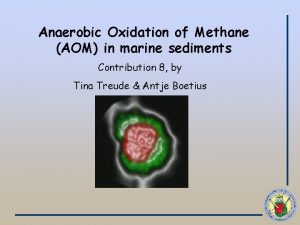 Anaerobic Oxidation of Methane AOM in marine sediments