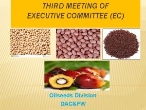 THIRD MEETING OF EXECUTIVE COMMITTEE EC Oilseeds Division