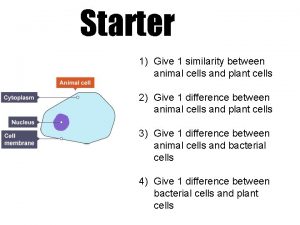 Starter 1 Give 1 similarity between animal cells