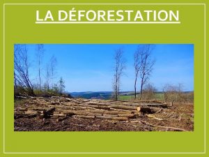LA DFORESTATION La dforestation contribue la destruction du