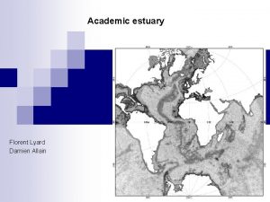 Academic estuary Florent Lyard Damien Allain Academic estuary