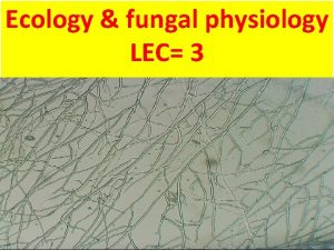 Ecology fungal physiology LEC 3 Ultra structure and