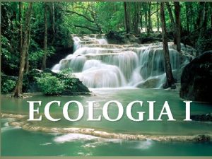 ECOLOGIA I Termo Ecologia oikos casa e logos