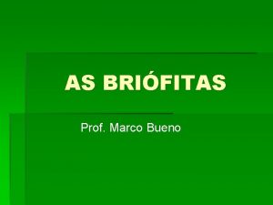 AS BRIFITAS Prof Marco Bueno AS BRIFITAS OS