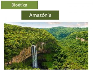 Biotica Amaznia Biotica Amaznia A biodiversidade amaznica sinnimo